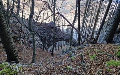 S planinskim krožkom na Mežaklo (Planski vrh)